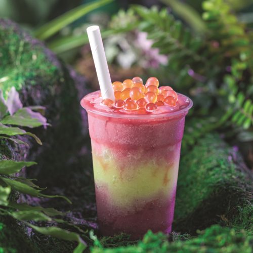 A layered blue and green slush drink topped with orange boba pearls surrounded by green foliage